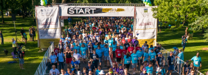 Donor Dash