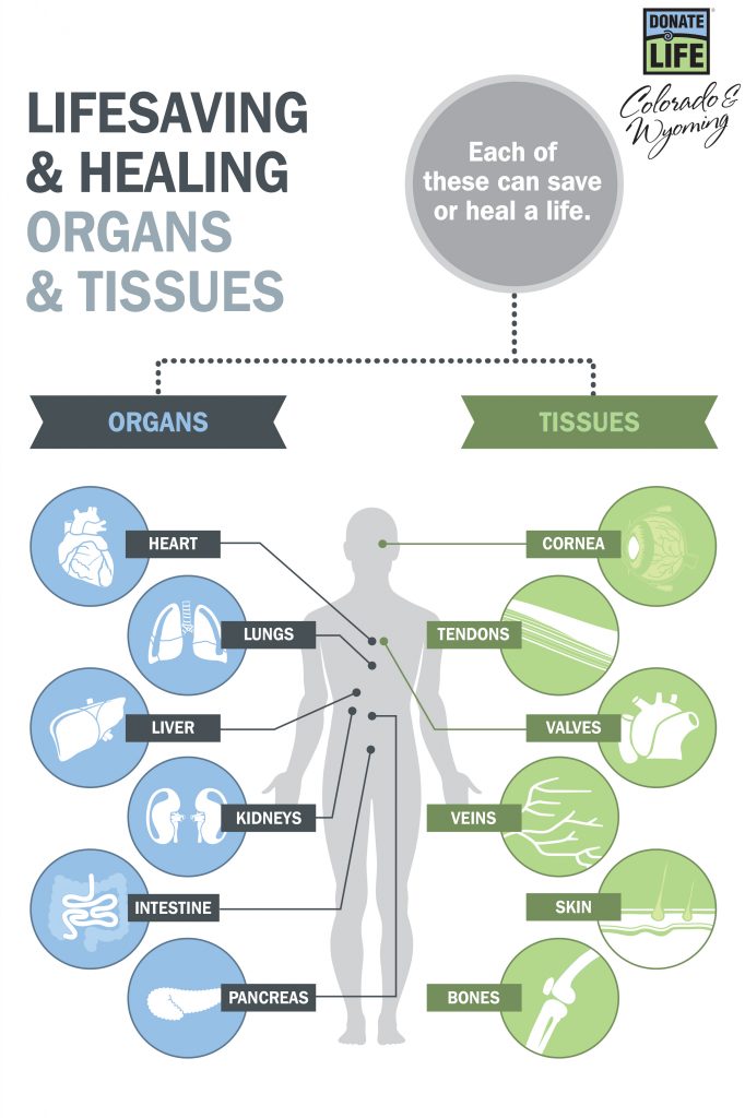 donor allaince colorado wyoming organ tissue transplant donation