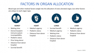 Factors in Organ Allocation