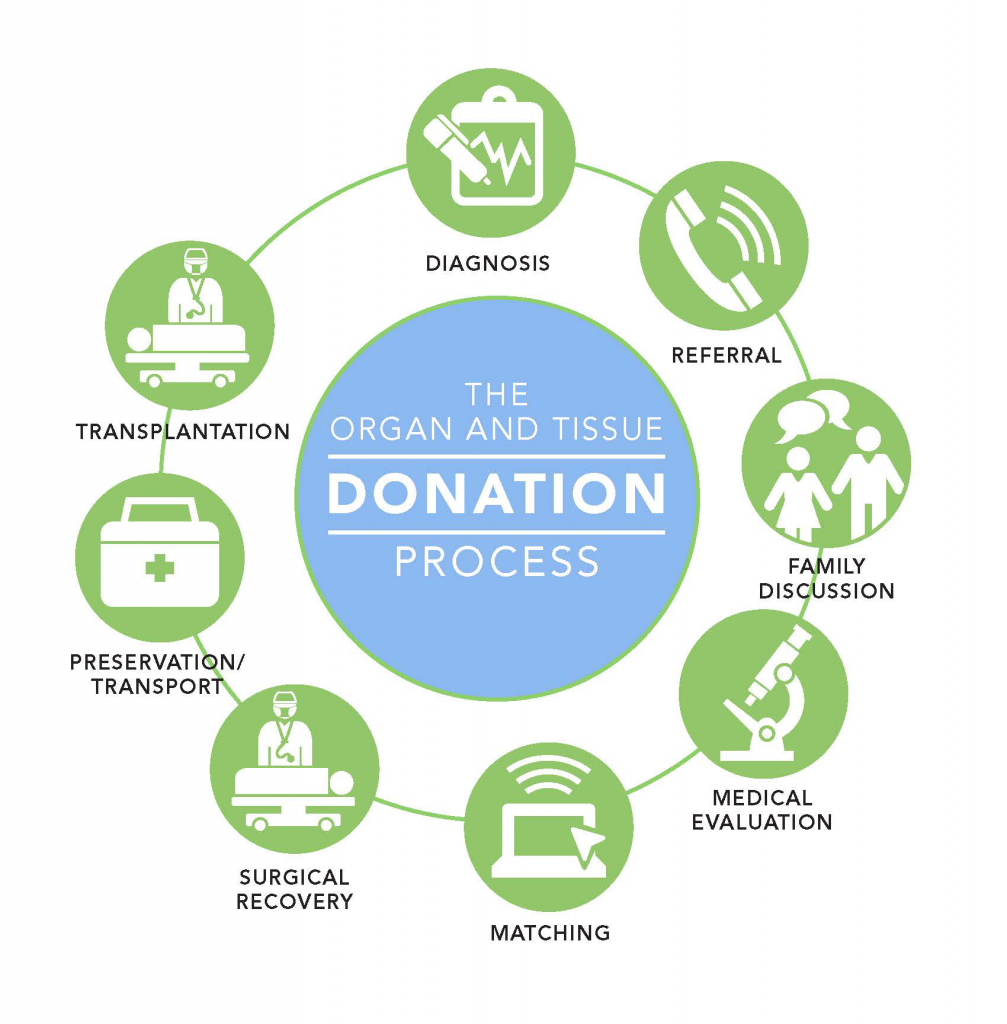 organ-and-tissue-donation-process