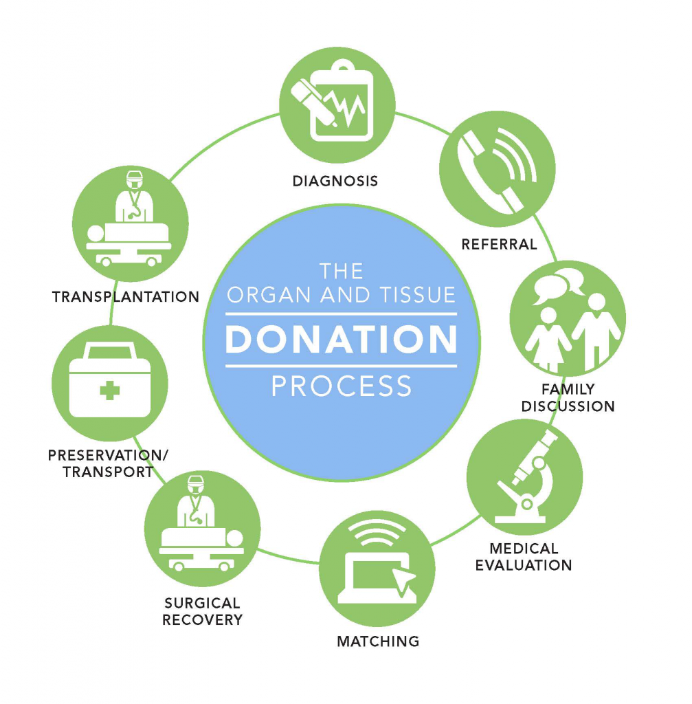 organ donation for research papers