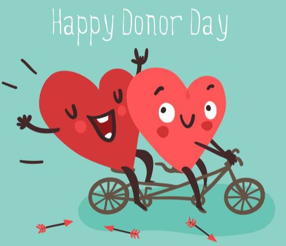 Image result for organ donation