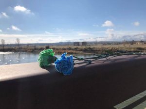 blue_green_carnations_memorial_wyoming_donor_dash_tate_pumphouse_north_platte_river