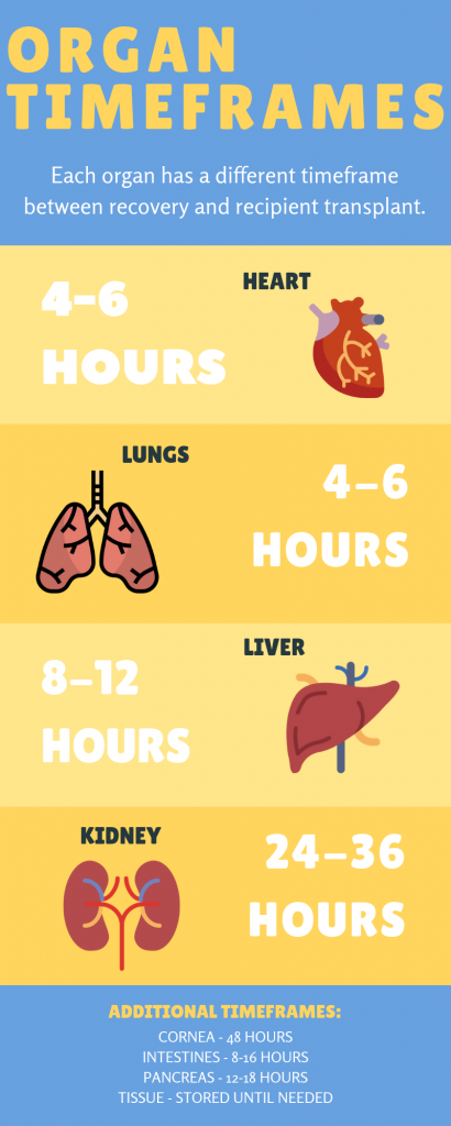 time-frame-for-transplanting-organs