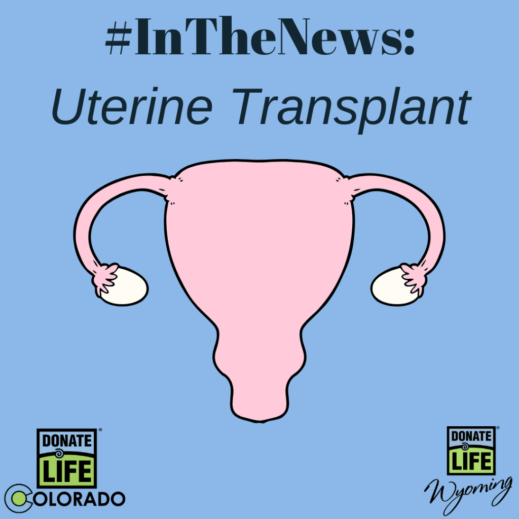 In The News Uterine Transplant 