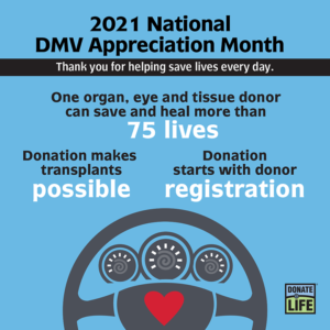 99 dmv hotsell