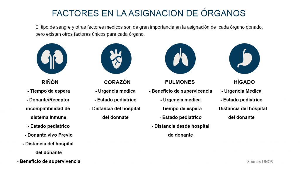 como se seleccionan los pacientes que reciben un trasplante