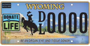 Wyoming License Plate 