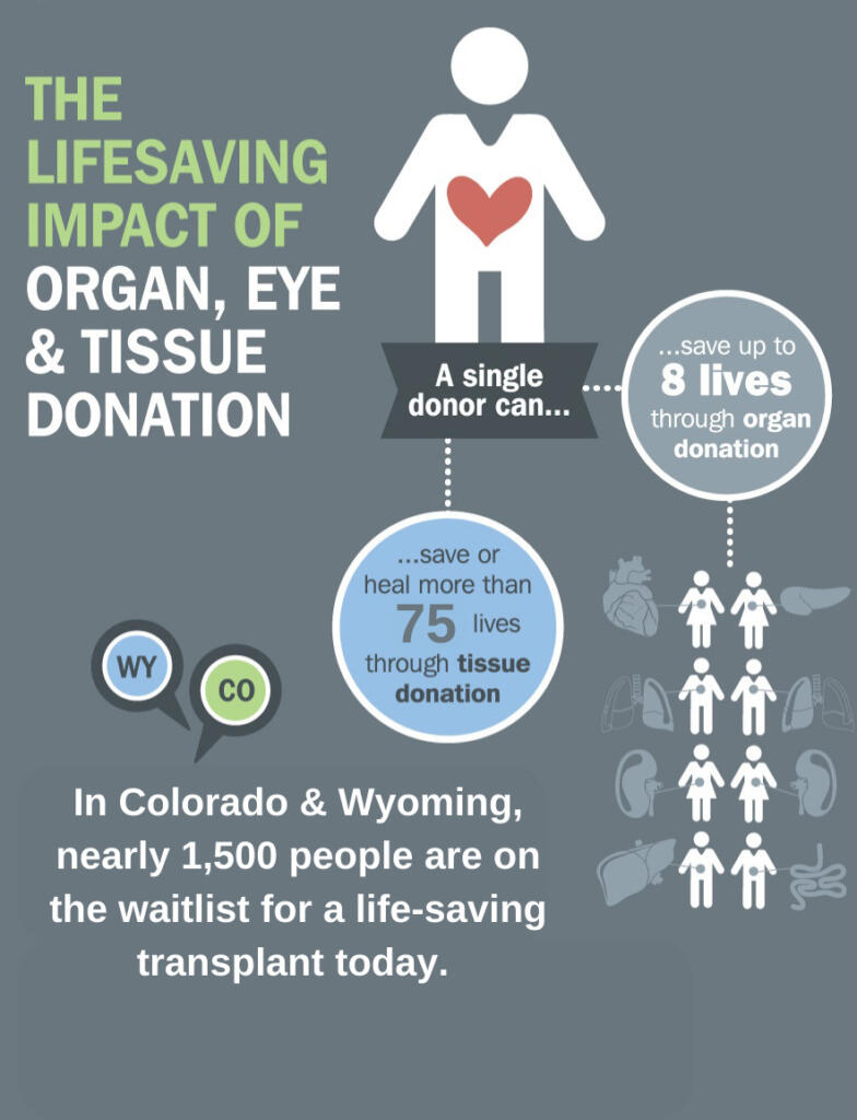 How many lives can one organ donor save