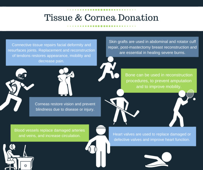 tissue cornea donation infographic