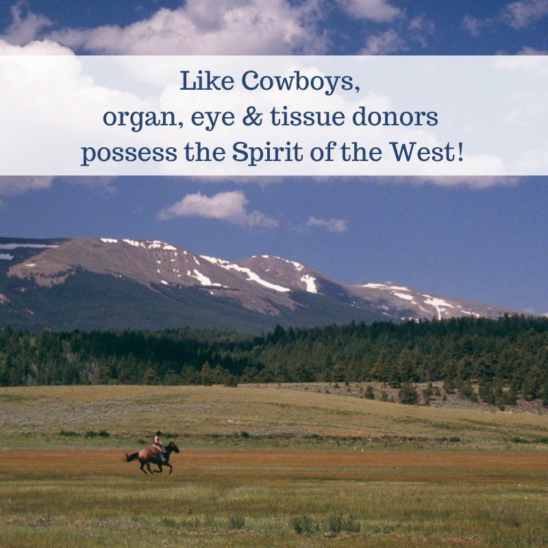 spirit of the west organ donation communities in colorado and wyoming