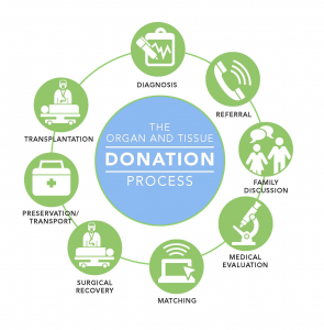 Donor Alliance Colorado Denver Wyoming Organ and Tissue Donation Process how it works